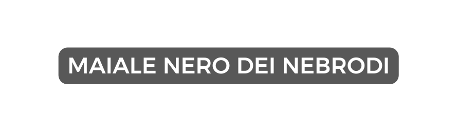 MAIALE NERO DEI NEBRODI